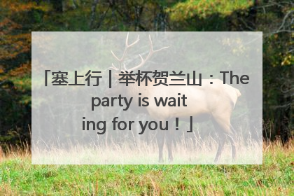 塞上行｜举杯贺兰山：The party is waiting for you！