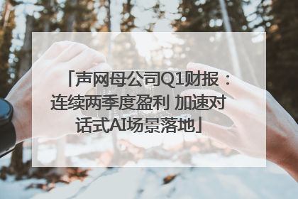 声网母公司Q1财报：连续两季度盈利 加速对话式AI场景落地
