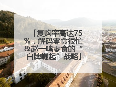 复购率高达75%，解码零食很忙&赵一鸣零食的“白牌崛起”战略