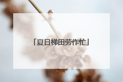 夏日梯田劳作忙