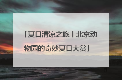 夏日清凉之旅丨北京动物园的奇妙夏日大赏