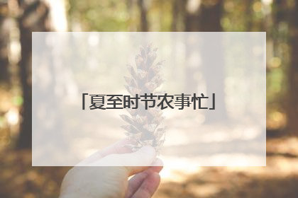 夏至时节农事忙