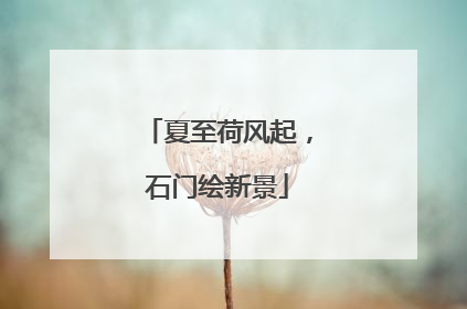 夏至荷风起，石门绘新景