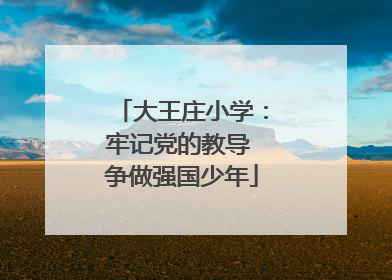 大王庄小学：牢记党的教导 争做强国少年