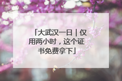 大武汉一日｜仅用两小时，这个证书免费拿下