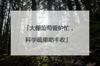 大棚葡萄管护忙，科学疏果助丰收