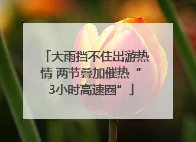 大雨挡不住出游热情 两节叠加催热“3小时高速圈”
