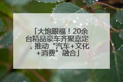 大饱眼福！20余台精品豪车齐聚嘉定，推动“汽车+文化+消费”融合