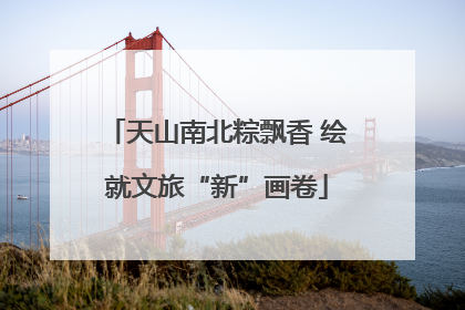 天山南北粽飘香 绘就文旅“新”画卷