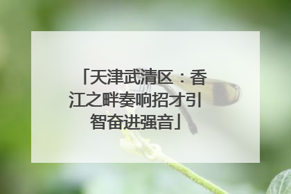 天津武清区：香江之畔奏响招才引智奋进强音