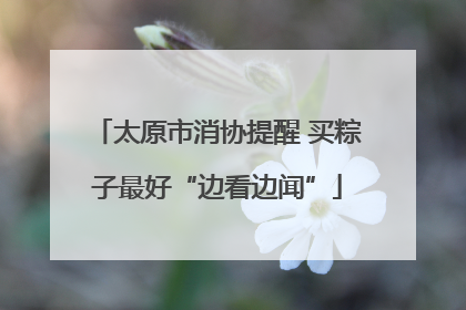 太原市消协提醒 买粽子最好“边看边闻”