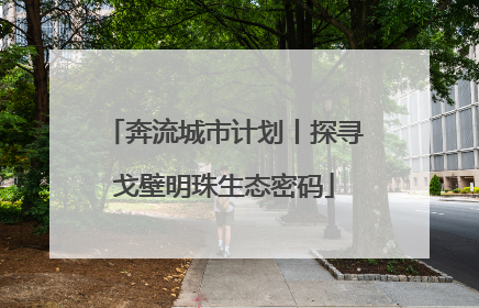 奔流城市计划丨探寻戈壁明珠生态密码
