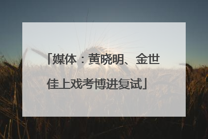 媒体：黄晓明、金世佳上戏考博进复试