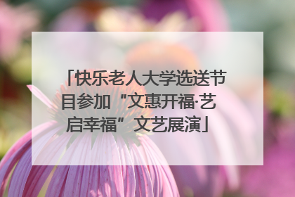 快乐老人大学选送节目参加“文惠开福·艺启幸福”文艺展演