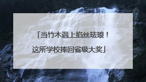 当竹木遇上掐丝珐琅！这所学校捧回省级大奖