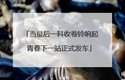 当最后一科收卷铃响起 青春下一站正式发车