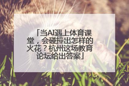 当AI遇上体育课堂，会碰撞出怎样的火花？杭州这场教育论坛给出答案