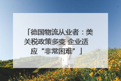 德国物流从业者：美关税政策多变 企业适应“非常困难”