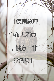 德国总理宣布大消息，俄方：非常危险