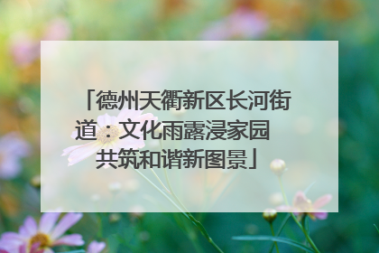 德州天衢新区长河街道：文化雨露浸家园 共筑和谐新图景