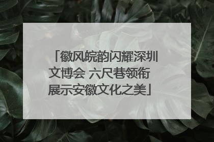 徽风皖韵闪耀深圳文博会 六尺巷领衔展示安徽文化之美