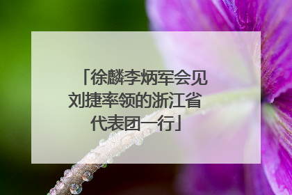 徐麟李炳军会见刘捷率领的浙江省代表团一行