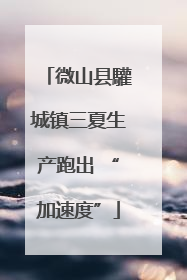 微山县驩城镇三夏生产跑出 “加速度”