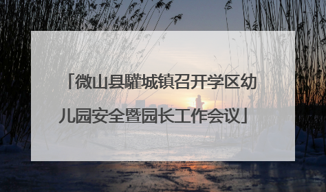 微山县驩城镇召开学区幼儿园安全暨园长工作会议