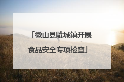 微山县驩城镇开展食品安全专项检查