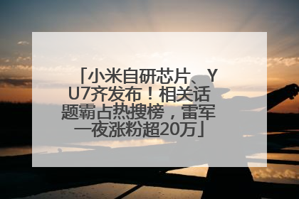 小米自研芯片、YU7齐发布！相关话题霸占热搜榜，雷军一夜涨粉超20万