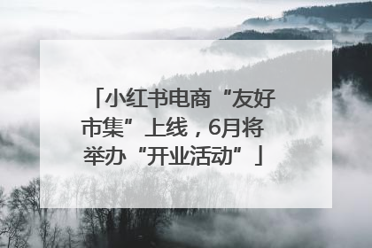 小红书电商“友好市集”上线，6月将举办“开业活动”