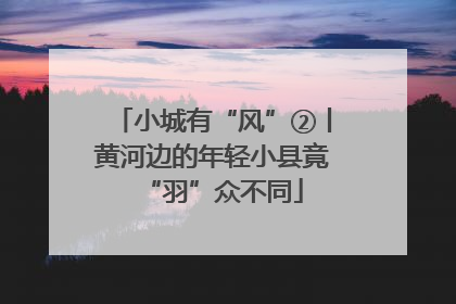 小城有“风”②丨黄河边的年轻小县竟“羽”众不同