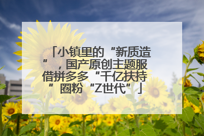 小镇里的“新质造”，国产原创主题服借拼多多“千亿扶持”圈粉“Z世代”