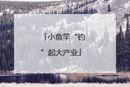 小鱼竿“钓”起大产业
