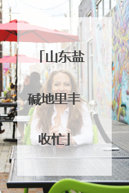 山东盐碱地里丰收忙
