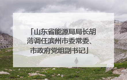 山东省能源局局长胡薄调任滨州市委常委、市政府党组副书记