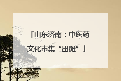 山东济南：中医药文化市集“出摊”