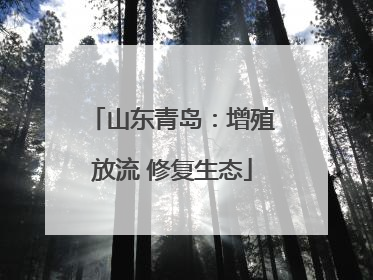 山东青岛：增殖放流 修复生态
