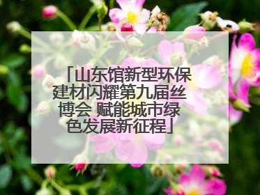 山东馆新型环保建材闪耀第九届丝博会 赋能城市绿色发展新征程