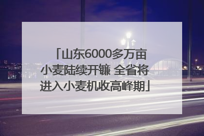 山东6000多万亩小麦陆续开镰 全省将进入小麦机收高峰期