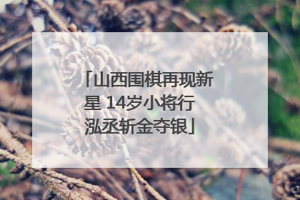 山西围棋再现新星 14岁小将行泓丞斩金夺银
