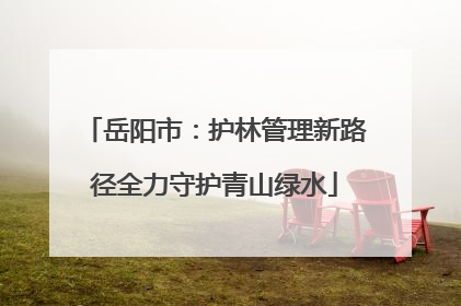 岳阳市：护林管理新路径全力守护青山绿水