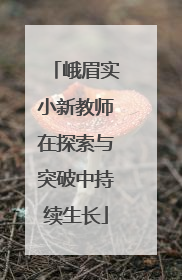 峨眉实小新教师在探索与突破中持续生长
