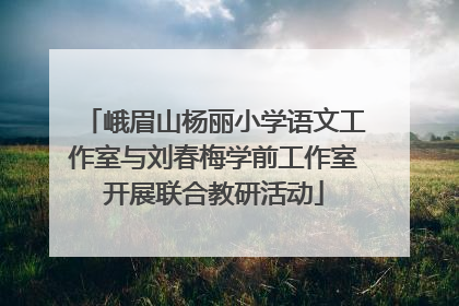 峨眉山杨丽小学语文工作室与刘春梅学前工作室开展联合教研活动