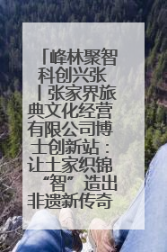 峰林聚智 科创兴张丨张家界旅典文化经营有限公司博士创新站：让土家织锦“智”造出非遗新传奇