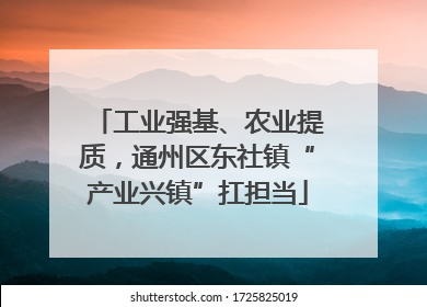 工业强基、农业提质，通州区东社镇“产业兴镇”扛担当