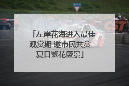 左岸花海进入最佳观赏期 邀市民共赏夏日繁花盛景