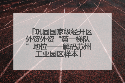 巩固国家级经开区外贸外资“第一梯队”地位——解码苏州工业园区样本