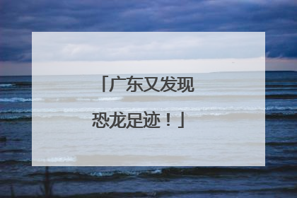 广东又发现恐龙足迹！