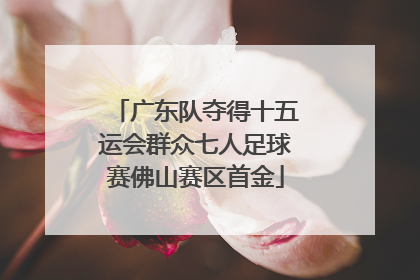 广东队夺得十五运会群众七人足球赛佛山赛区首金